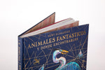 Animales fantásticos y dónde encontrarlos TP