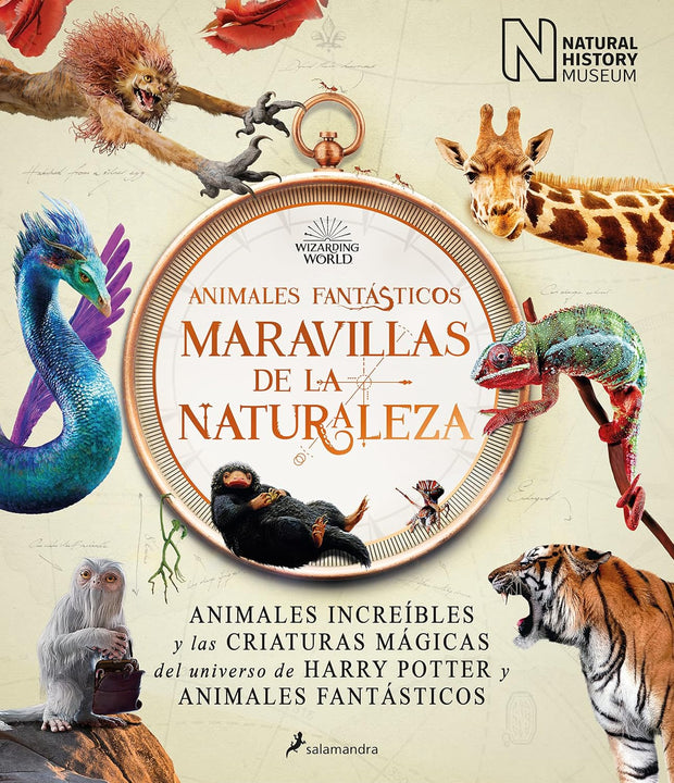 Animales fantasticos (Tp)