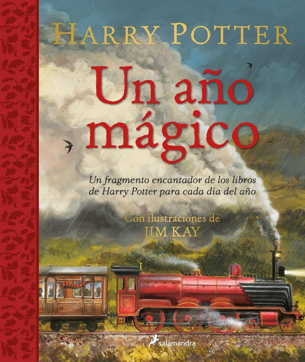 Harry potter un año magico